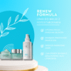 hl holy land linia renew formula